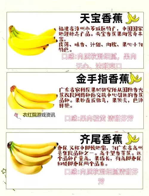 《Banana》详细入门教学 香蕉价格怎么看图2
