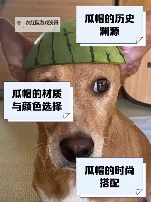 《大头菜菜历险记》衣帽间：主线收集「帽子」盘点！图2