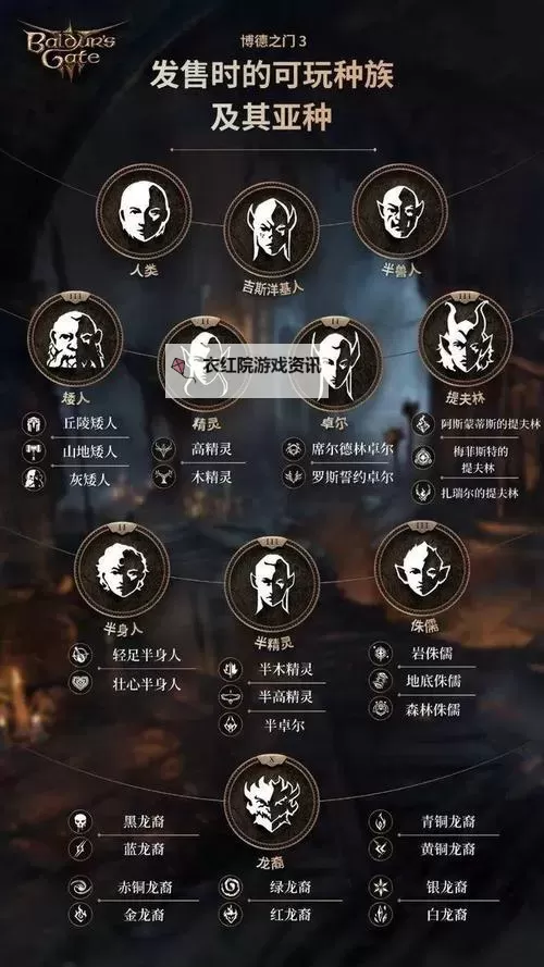 《博德之门3》骰子基础机制解析图1