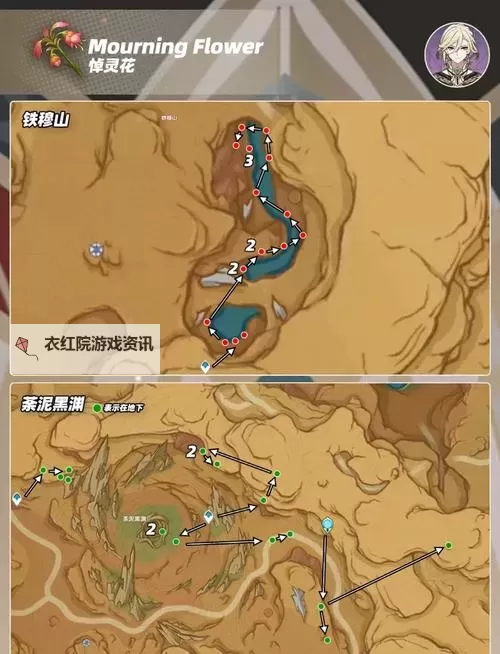 《原神》悼灵花快速采集线路分享 悼灵花怎么获得图2