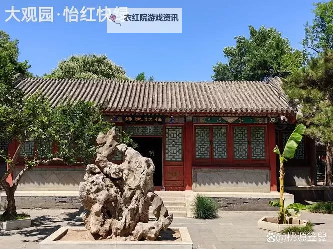 最爱怡红院:那些年我们共同的青春记忆图1