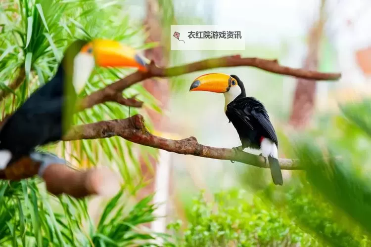 神偷4 海边酒馆偷octopuss任务密码图2