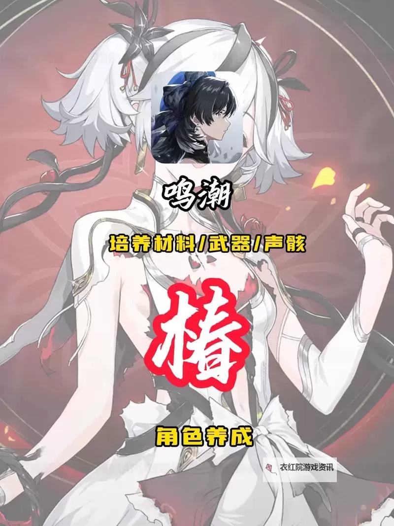 《鸣潮》1.4椿详细培养攻略 椿技能解析与出装配队推荐图1