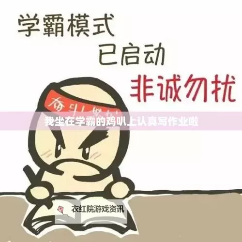 坐在鸡上写作业好疼：一个奇怪但令人深思的学习困境图1