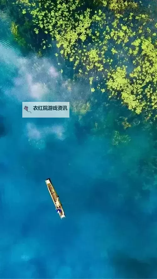 揭秘中国无码：背后的行业真相与风险解析图1