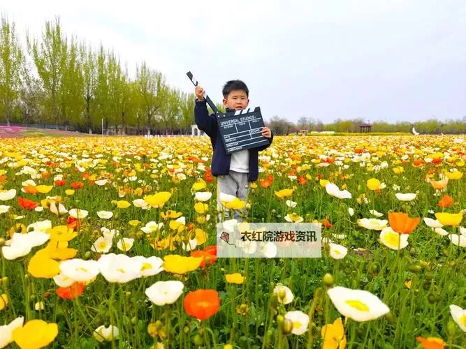 探索无限精彩:无码一区伊甸园的魅力与秘密图1