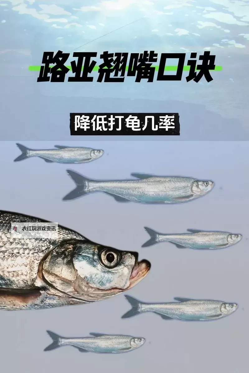 掌握技巧：怎么降低龟灵敏度的方法详解图1