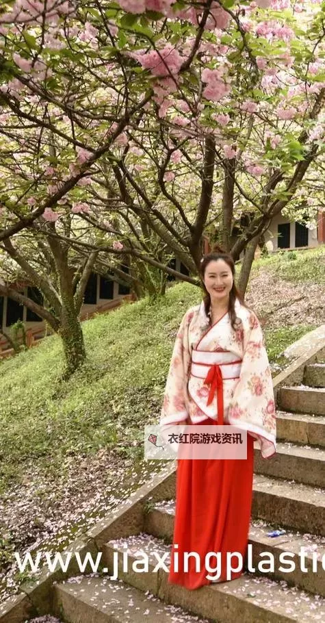 雨露均沾【后宅】，细说后宫的平衡之道图1