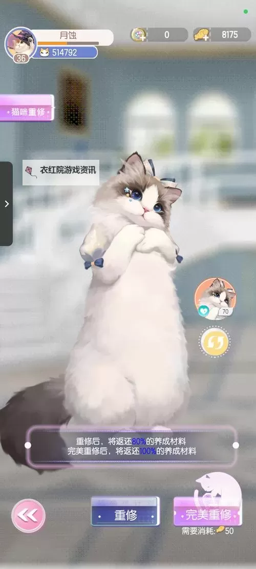 《超喵星计划》怎么玩? 《超喵星计划》萌新玩家快速上手指南!图1