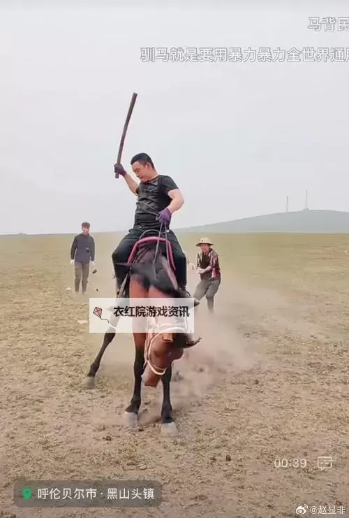 坐在有木棒的马鞍上难受：骑行中的不适与反思图1