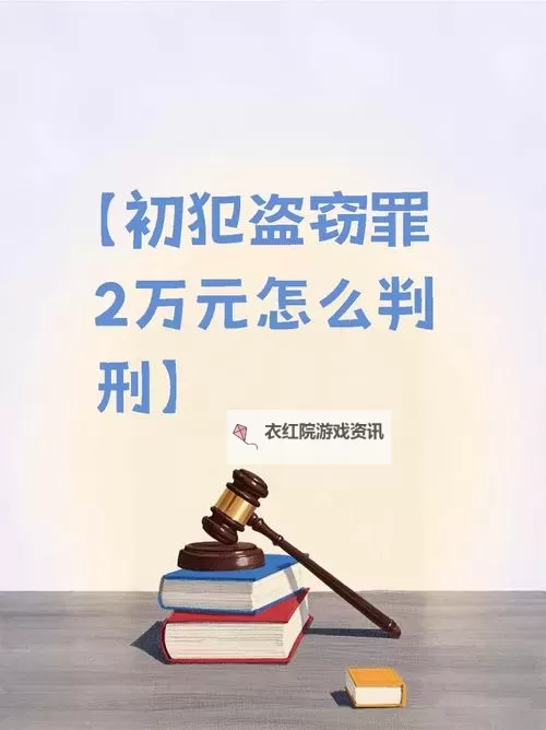 罪名：偷心盗贼！如何双开 2021最新双开神器来袭图1