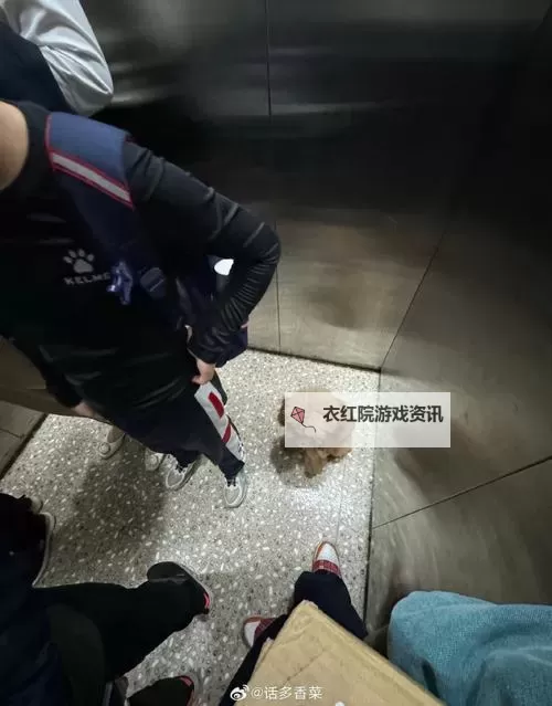 自己坐下来不疼 乖乖的，温暖如春的心灵治愈之旅图1