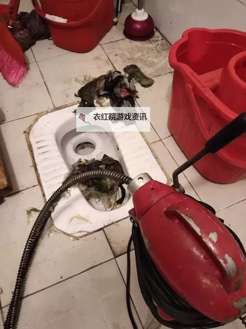 用大宝贝疏通妈妈的下水道好吗？实用性与安全性的全面分析图1