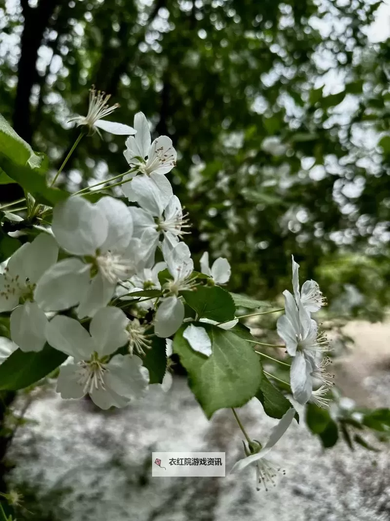 《鸣潮》荒弃岩壑锚点解谜教学 荒弃岩壑解谜怎么做图1