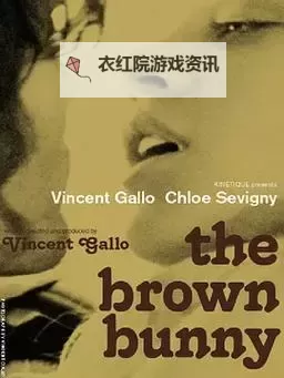 解决中文字幕乱码问题，高清电影在线观看指南图2