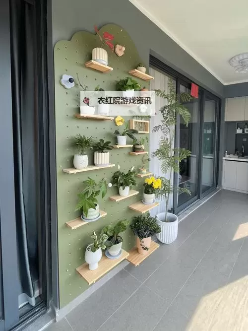 在阳台插的好深:乡村花坛的秘密天地图1