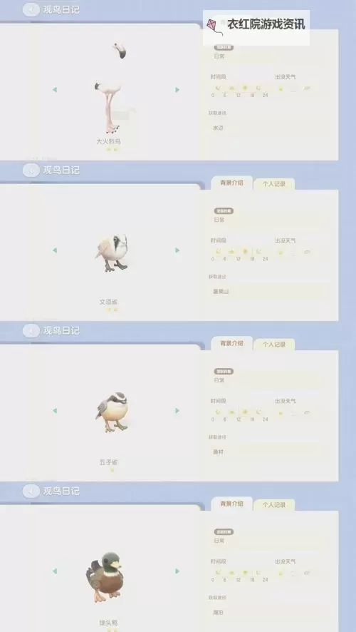 《心动小镇》海鸥位置说明 海鸥在哪出现图1