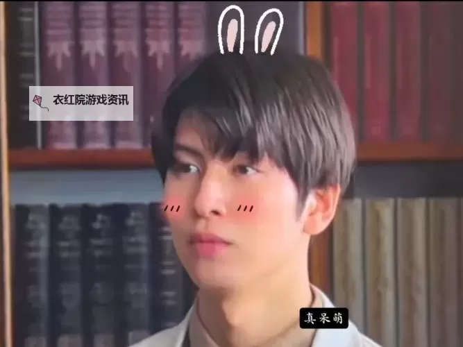 长谷川萌：种子般的希望在春天萌芽图1