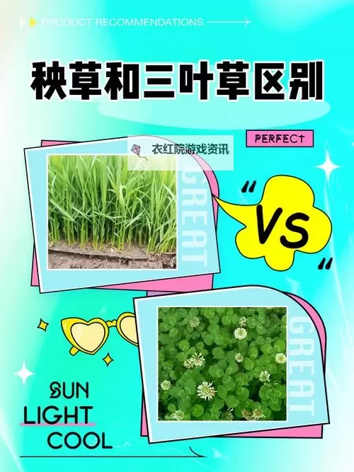 日本人和欧洲人的区别：从三叶草看文化差异图1