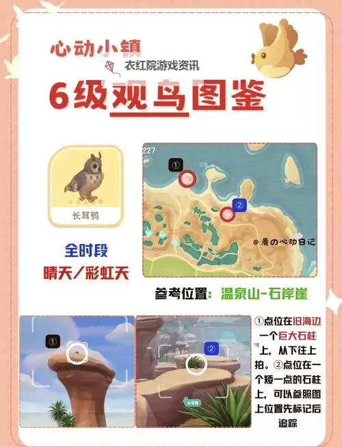 《心动小镇》长耳鸮位置说明 长耳鸮在哪出现图2