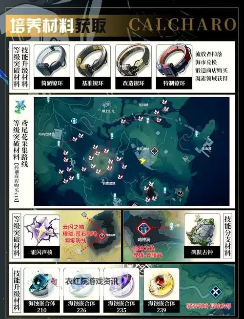 《鸣潮》卡卡罗全方位养成攻略 卡卡罗出装与配队建议图1