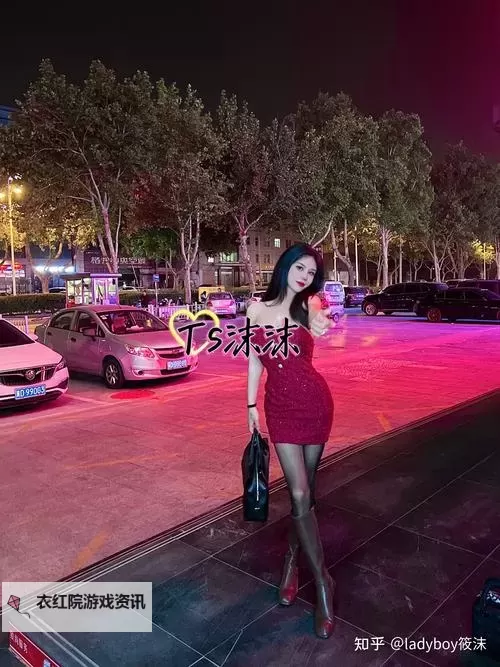 探索最新内容:TS66成人网站全面介绍与指南图1