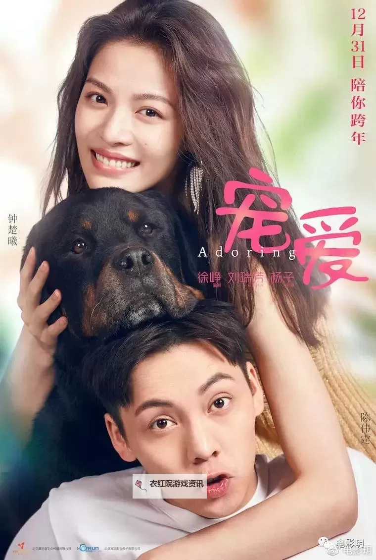 2023年最全推荐：最好看的2019中文大全电影合集图1