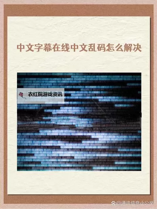 【实用技巧】中文字幕导入乱码解决方法全攻略图2