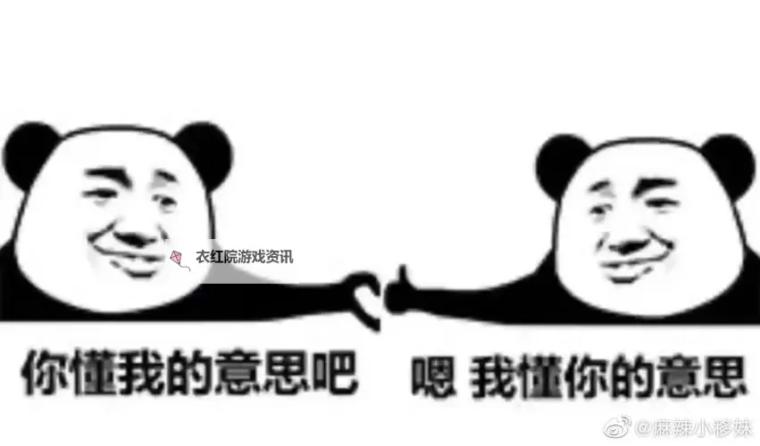 资源你懂我意思吧：探索隐藏在背后的秘密与价值图1
