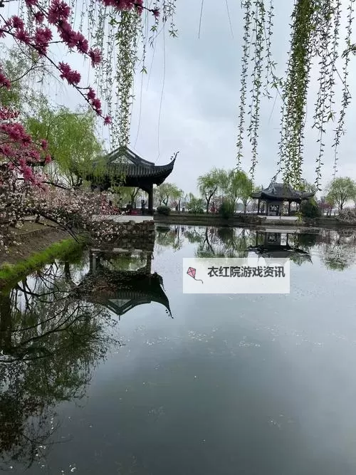 大发快三七码草一草最新：最全攻略助你轻松稳赢图1