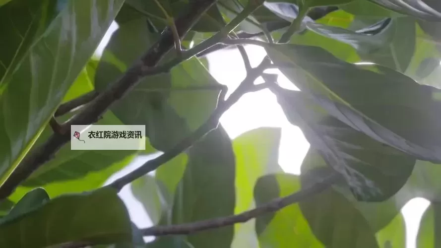 菠萝蜜视频高清在线午夜剧场：深夜震撼视觉盛宴图1