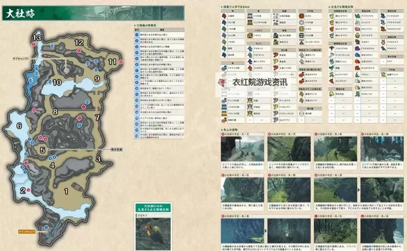 《怪物猎人世界》飞龙的蛋在哪 飞龙的蛋位置及搬蛋路线分享图1