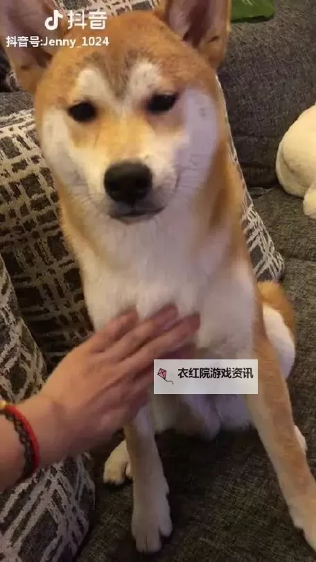 了解1204免费手机基础旧版：功能介绍与使用指南图2