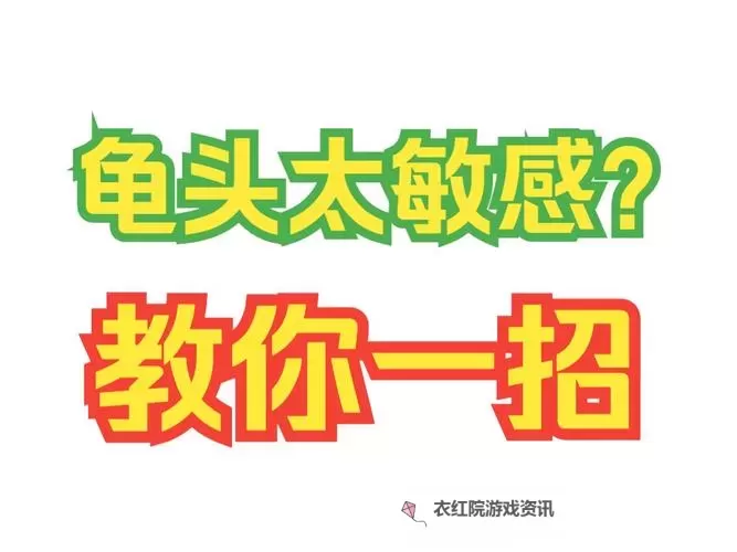 怎么提高龟灵敏度的方法：提升龟类反应能力的实用技巧图1