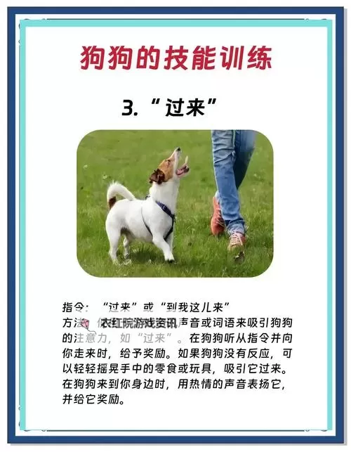 动物涨姿势电脑版下载 动物涨姿势电脑版的安装使用方法图1