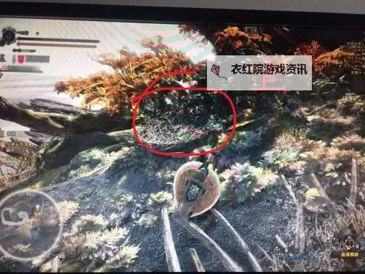 《怪物猎人世界》飞龙类怪物无限倒地技巧图1