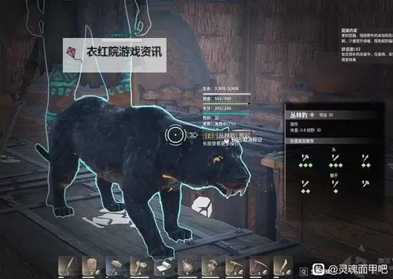 《灵魂面甲》动物捕捉与养殖攻略 怎么捕捉动物图1