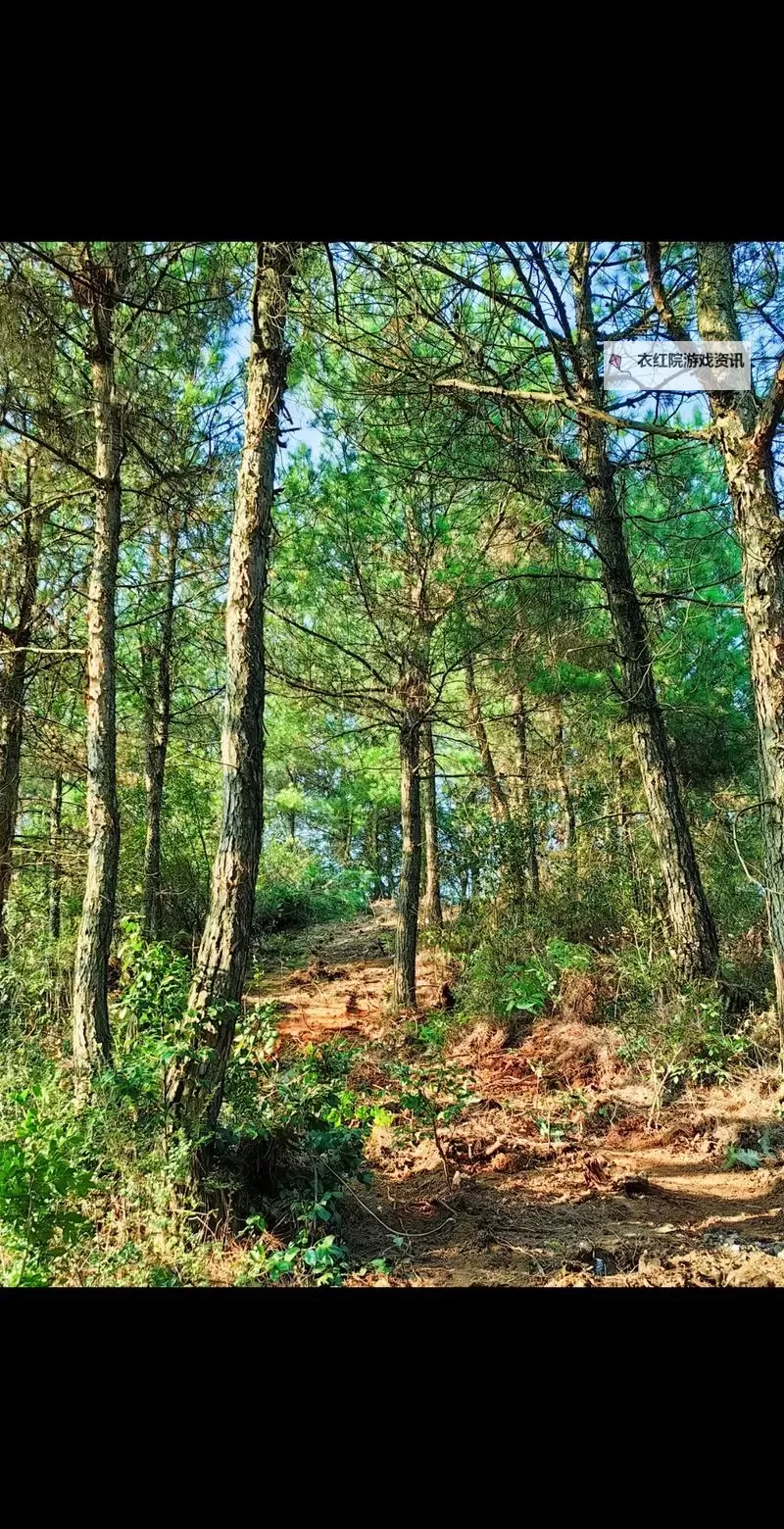 春暖花开时节，揭秘热门偷拍网址背后的秘密图1