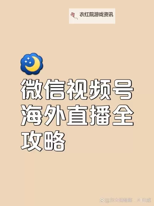 掌握技巧：下海直播电脑版操作指南详解图2