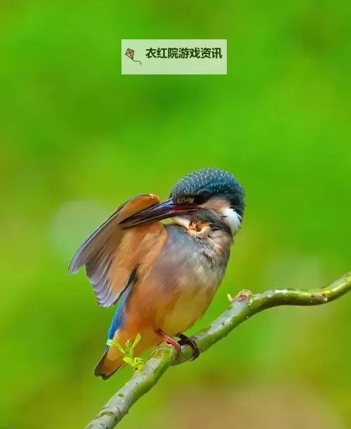 探索最新的内容：cn.666成人视频带来的视觉盛宴图1