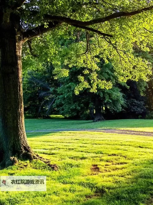 《星球：重启》『异晶改造』系统介绍 异晶改造怎么玩？图2