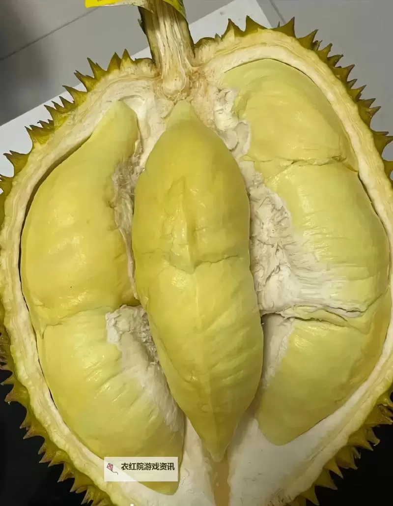 免费在线观看榴莲视频免费观看在线，掌握最新高清资源图1