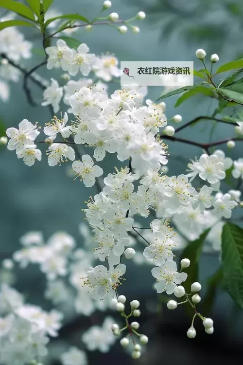 修道手游电脑版下载 电脑玩修道手游模拟器推荐图1