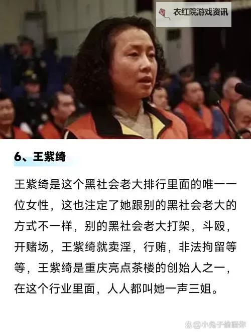 揭秘：中国十大黑社会组织的隐秘面纱图1