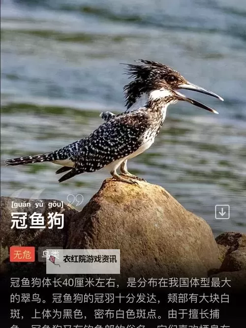 神奇水域电脑版 电脑玩神奇水域模拟器下载、安装攻略教程图1