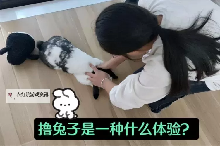 怎么喂老公吃小兔兔：趣味指南与温馨小技巧图1