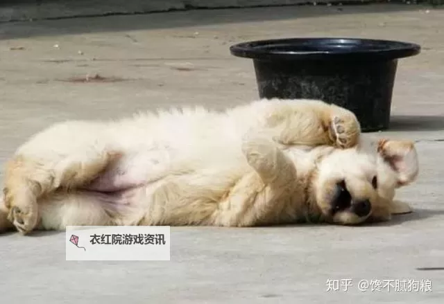 坐在上面摇是一种什么体验知乎——揭秘令人心跳加速的奇趣瞬间图1