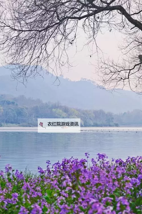 免费圣域传奇礼包 圣域传奇礼包在线领图1