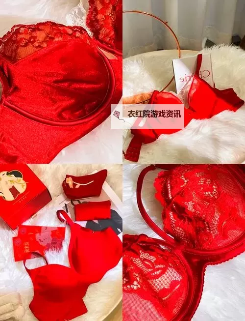 探索魅力无限： www.日本红内衣秀精彩瞬间大公开图1