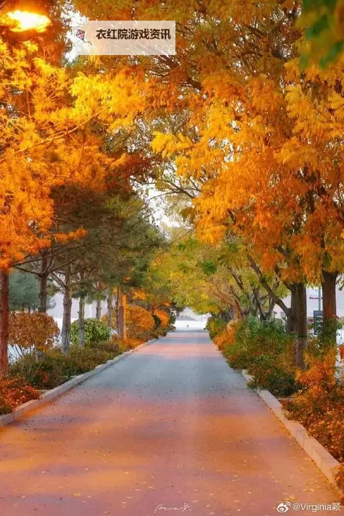 灵魂献祭Delta 6星Boss人狼打法图文心得图1